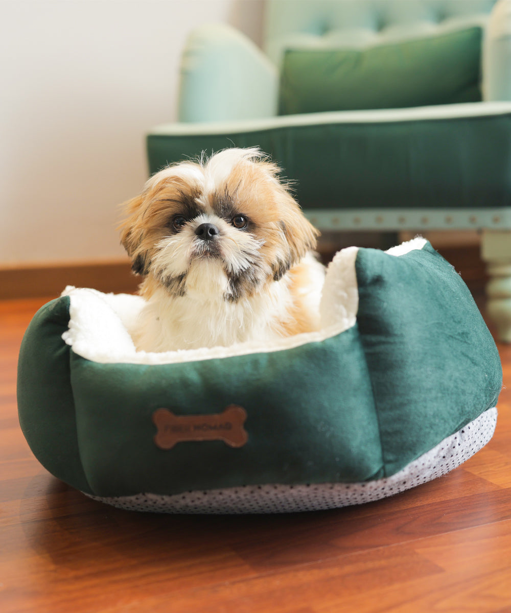 SnugShell