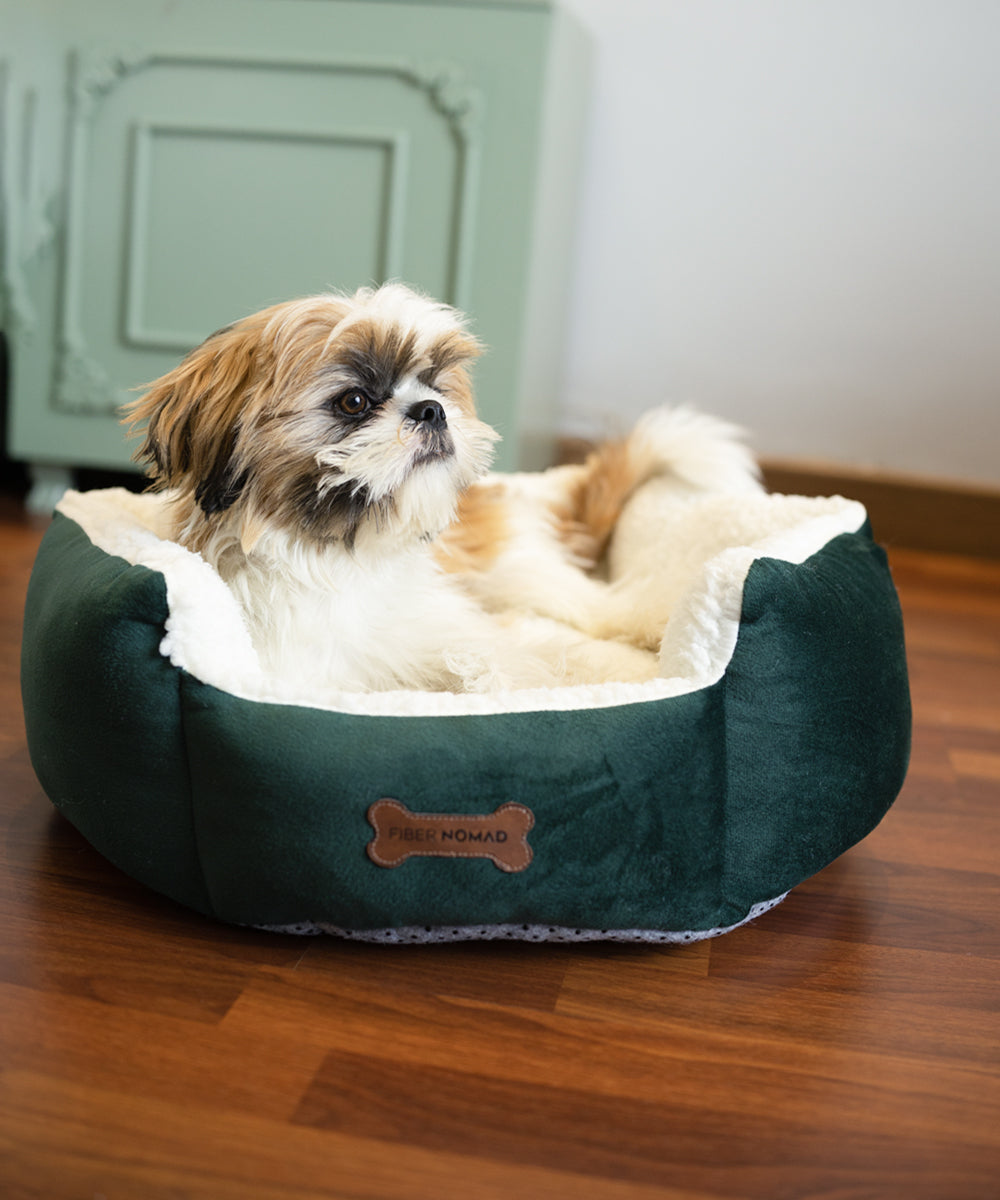 SnugShell
