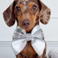 Barkside Checks Adjustable Neck Harness