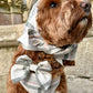 Barkside Checks Adjustable Neck Harness