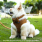 FurFlex Adjustable Neck Harness