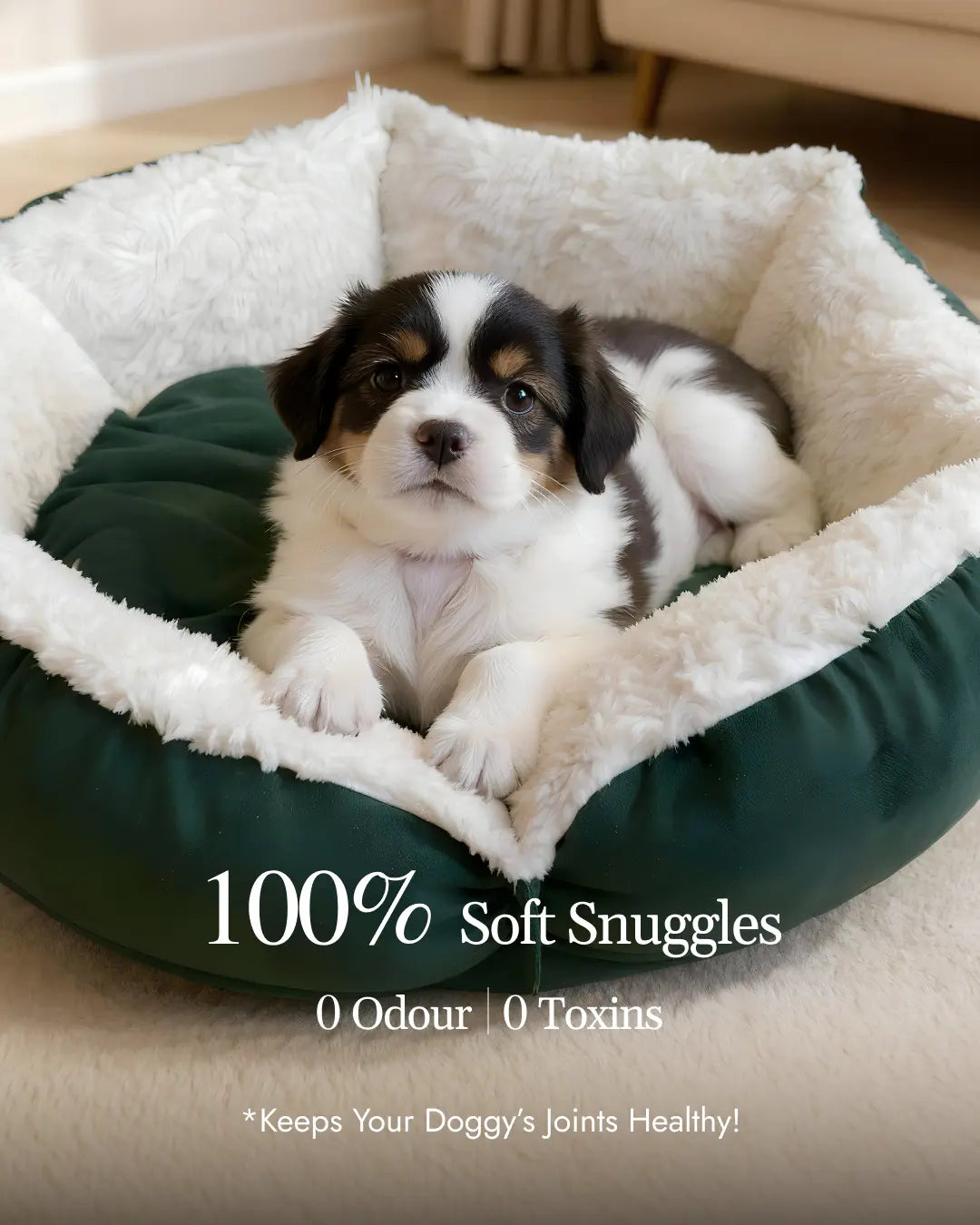 Snugshell Pet Bed