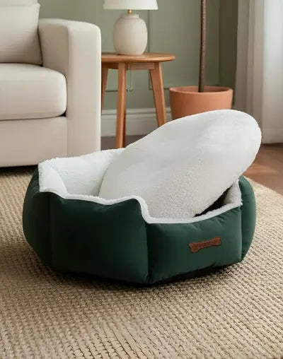 Joint Pain & Low Mobility